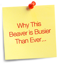 Busy Beaver